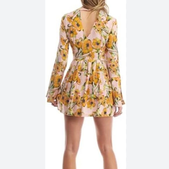 Free People Tegan Printed Floral Pleated Dress Size 4