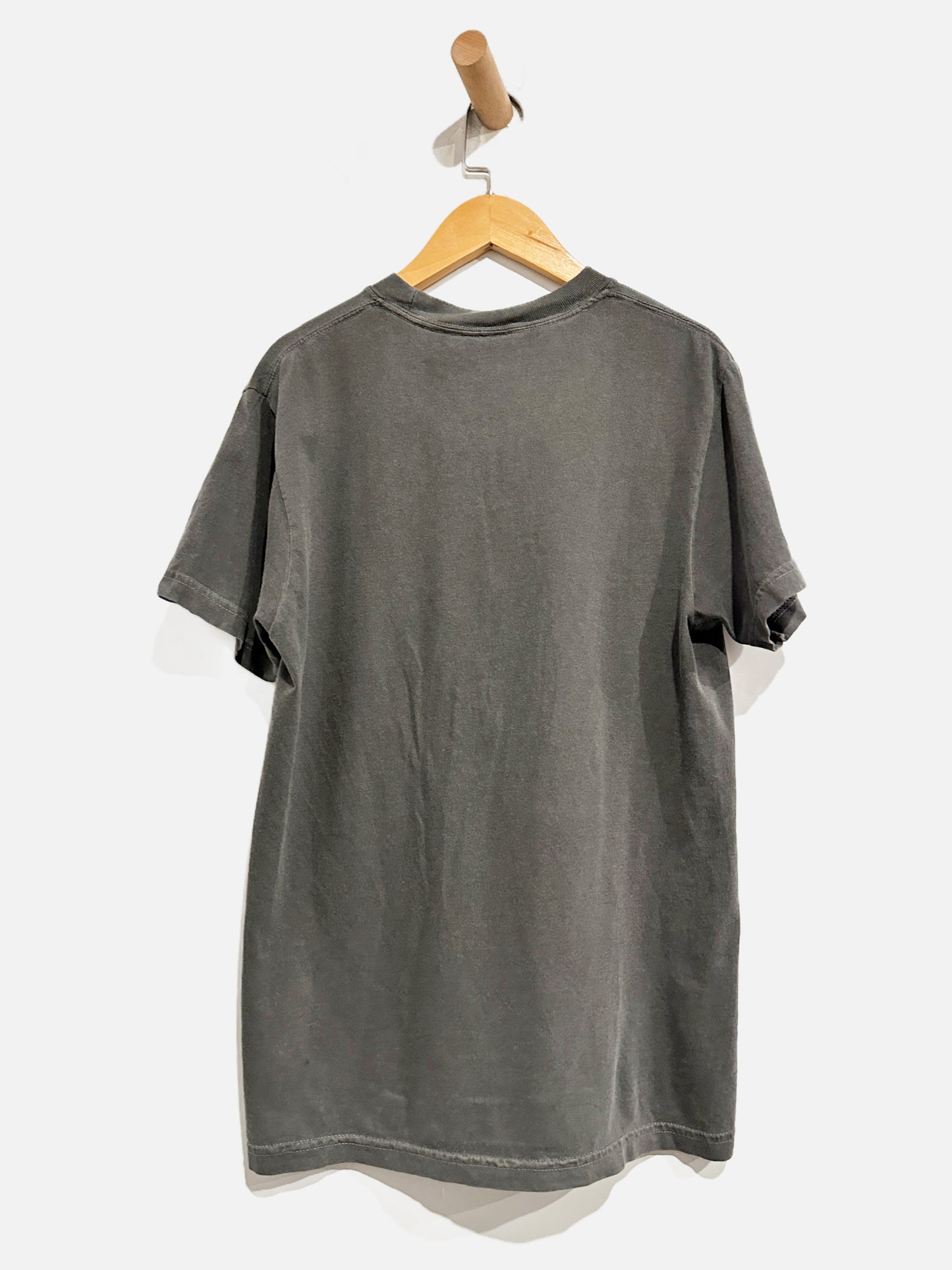Comfort Colors Gray Posty Graphic Tee