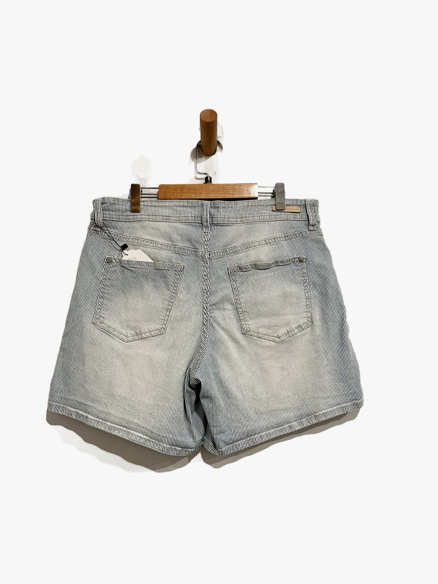 Anthropologie Pilcro Hyphen Blue Stripe Shorts - 29