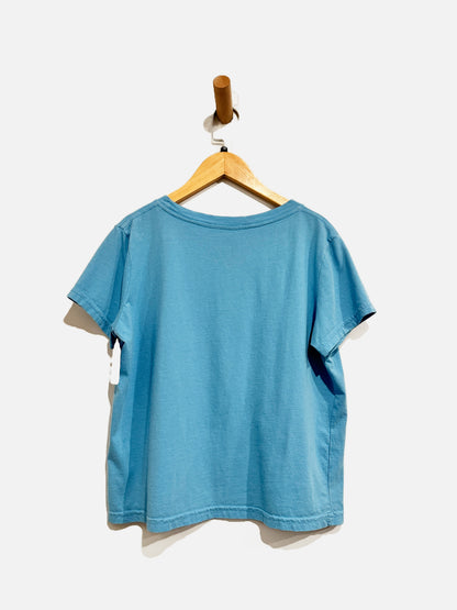 Phoebe Bridgers Blue “Punish Him” Graphic Tee - Medium