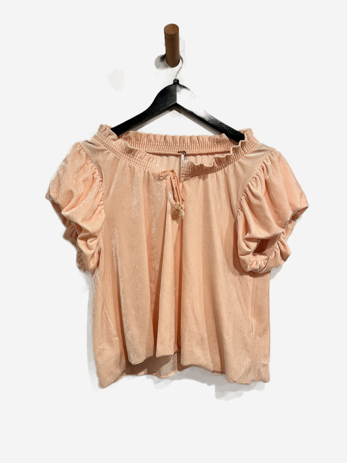 Free People Terese Velvet Top in Pink Tint - Small