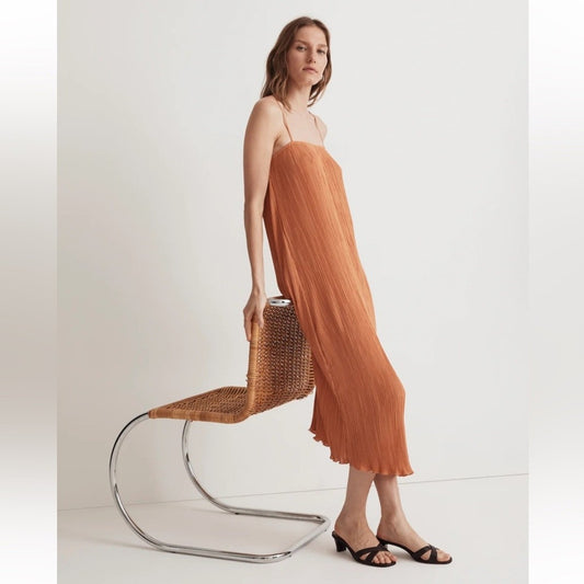 Madewell NWT The Goldie Dress in Plissé - 2