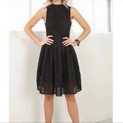 Anthropologie Deletta Cosgrove Fit and Flare Dress Size Small