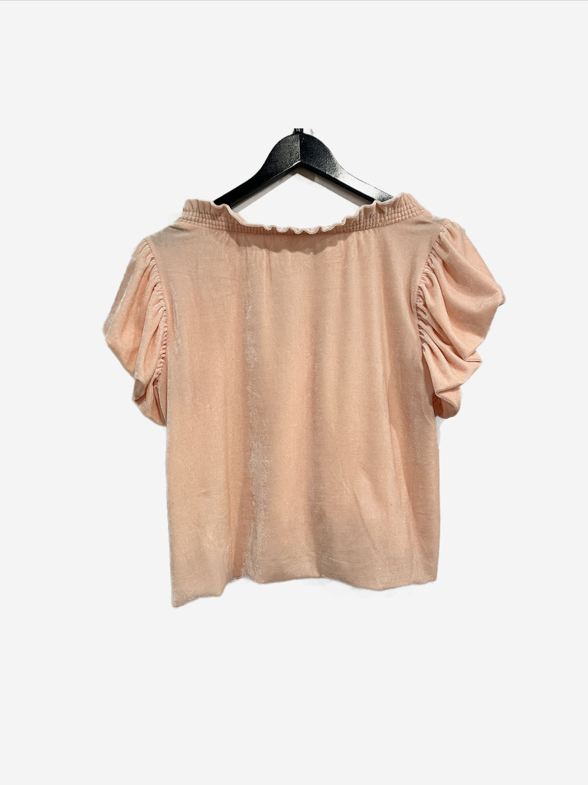 Free People Terese Velvet Top in Pink Tint - Small