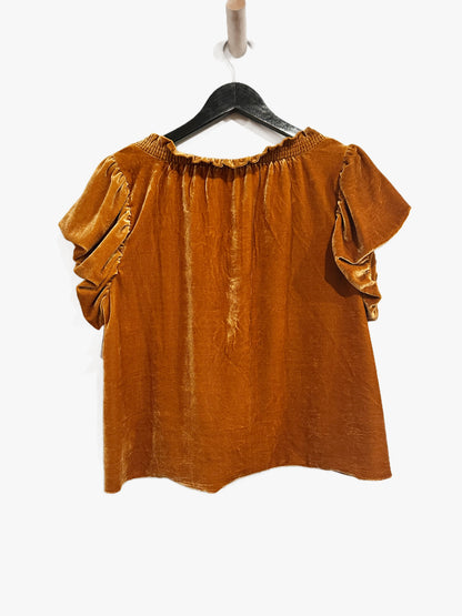 Free People Terese Velvet Top in Pumpkin Pie