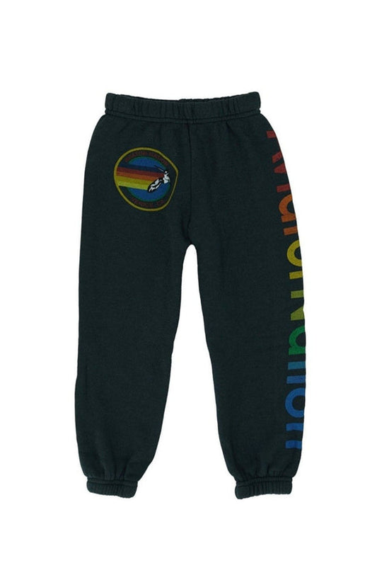 Aviator Nation Kids Grey Sweatpants - 12