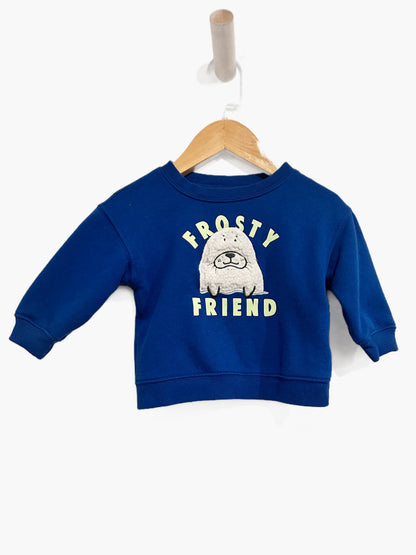Carter’s Blue “Frosty Friend” Pullover - 9Mo