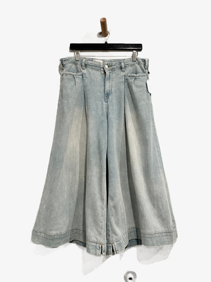 Anthropologie Pilcro High Rise Crop Wide Leg Pleated Jeans - 29