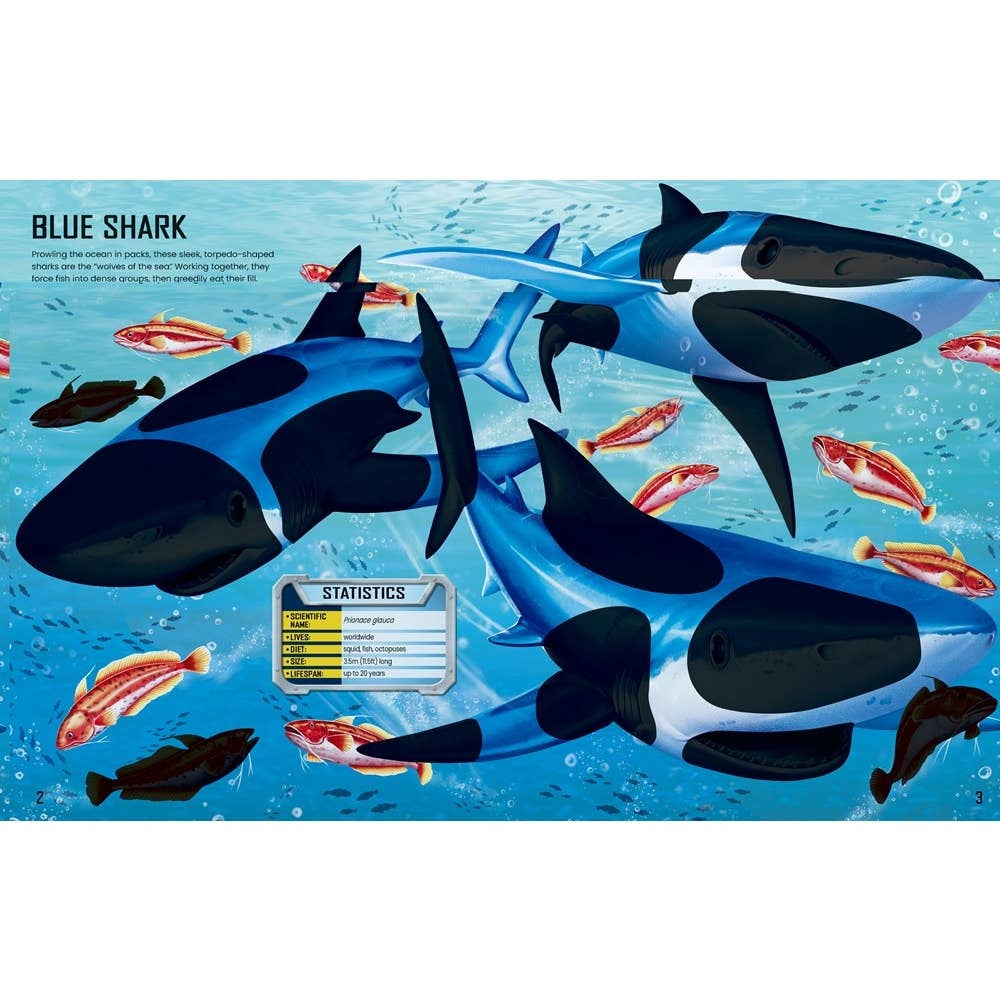 Usborne Build Your Own Sharks