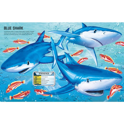 Usborne Build Your Own Sharks